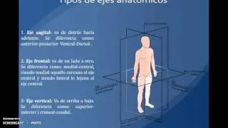 taller 3 feditic  tematica planos y ejes anatomicos. lenyn camejo