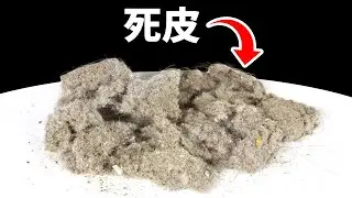 如果所有塵埃都消失，就不會有行星了