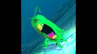 Plankton Knows