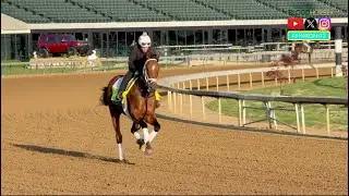 The Final Morning of 2025 Kentucky Derby Training 5/2/25