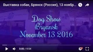 Выставка собак, Брянск (Россия), 13 ноября 2016 / Dog Show, Bryansk, Russia, November 13 2016