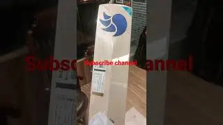 DSC English willow bat. DSC blue 111 #cricketmatch #goprocricket #cricketshorts #englishwillowbat