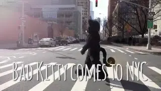 Bad Kitty Comes to NYC!