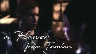 Dragon Age: Origins Mod | A Flower from Tamlen | Dalish Elf Origin