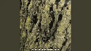 Jack N Johnnie (feat. 62.zii)