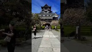 Took me a while but I found Inuyama Castle. #inuyama #japan #aichiprefecture  #japanesecastle