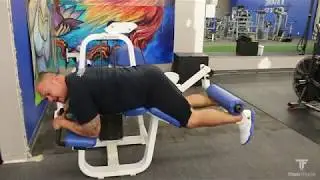 Lying Leg Curl Machine Tutorial (DT)