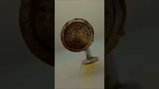 The Shower Debate
