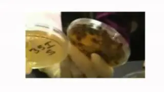 BeautySoClean Promotional Video