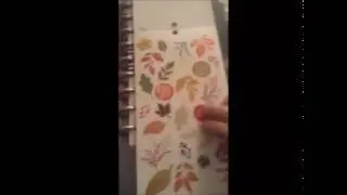 mambi haul