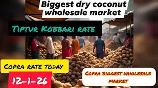 Tiptur market rate, today Kobbari market rate, coconut wholesale price #copramarket 