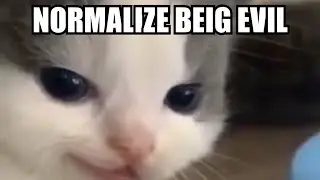 NORMALIZE BEIG EVIL