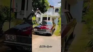 SL Holden Statesman🇱🇰✨&hearts;️..#holden #slcarspotter #srilanka #carlover #cars #foryou #viral #trending