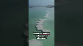 Морская соль против обычной столовой соли: правда вас шокирует 🧂