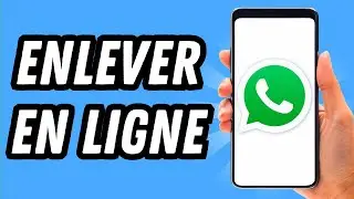 Comment enlever en ligne sur Whatsapp (GUIDE COMPLET)