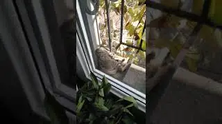 Deep sleep. До вечера не будить.