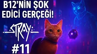 B12&rsquo;nin Şok Edici Ger&ccedil;eği! | Zbaltazar ve Clementine&rsquo;ye Giden Yol | STRAY #11