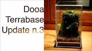 DOOA Terrabase Update Part 3 - Wabikusa