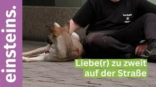 Liebe(r) zu zweit auf der Straße  -  Einsteins 2025