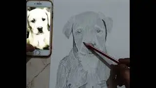 How to draw realistic dog tutorial 😍