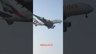 ✈️Emirates Airlines Airbus A380 A6-EDF Landing at Dubai Airport #airplane #emirates #shorts #fly