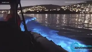 Earth 8: Red tide returns to San Diego