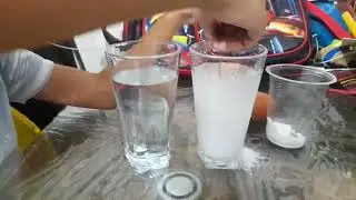 &ldquo;Make an Egg Float with Salt and Water! 🧂