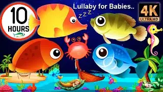 Sleep Instantly Within 3 Minutes ♥ Mozart Brahms Lullaby ♫ Lullaby for Babies to Go to Sleep#226