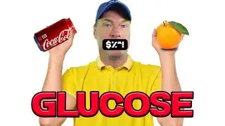 The OPTIMAL Blood Glucose Level