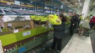 Valentine's delivery: 14 million roses