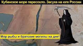 Засуха в России (2020). Краснодарское водохранилище пересохло. Братские могилы под водой. Мор рыбы.