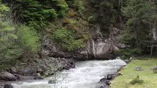Relaxing water | Mind Relax | Nature | Stream | Flow