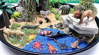 Diorama Mini Safari World With New Animals