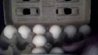 Dutch Farms Grade A Large Eggs Unboxing (18 Egg Carton)