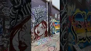 Street art at its finest, crossroads Kc. #graffiti#breaking #nycgraffiti #lagraffiti #youtubeshorts