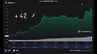 🚀  +     42  %    Litentry   LIT  -  Litentry to USD Chart