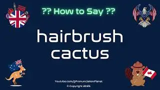 🌵🪴 How to Pronounce hairbrush cactus? (CORRECTLY) | Pronunciation Planet