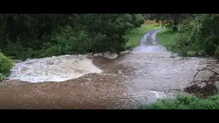 Roseberry Creek in Flood 2020