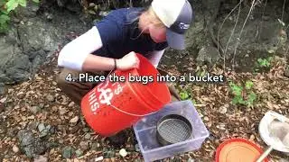 Bioassessment: Collecting Bugs for Science, by Morro Bay National Estuary Program