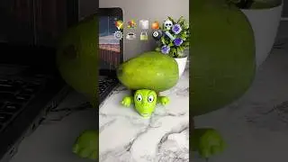 What do you want me to put on top of the turtle next? 🤭✨🐢 #turtle #coaster #turtlecoaster