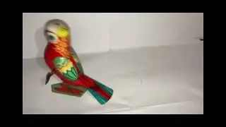 World Animals Hopping Parrot