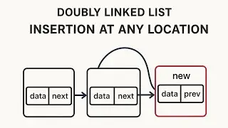 Insertion at any location || doubly link list 