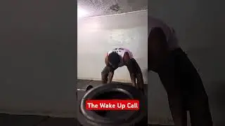 #thewakeupcall #gym #gymmotivation #gymlife #gymlover #shortsafrica #shorts