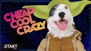 Yoda Costume for Dogs & A Puppy Mansion! - Cheap Cool Crazy