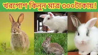 খরগোশ কিনুন অল্প দামে|খরগোশের দাম ২০২৫ | Rabbit Price In Bangladesh 2025