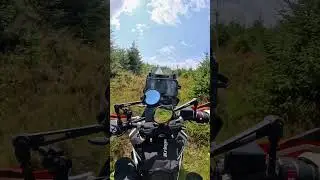 Forestry Trails at Mt Wexico #adventurebike #790adventure #offroad
