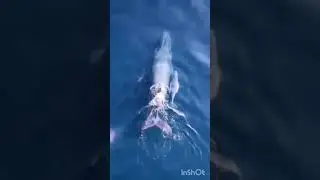نبكي على ذنوبي -