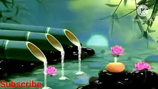 Feel satisfying & relaxing with our video. 