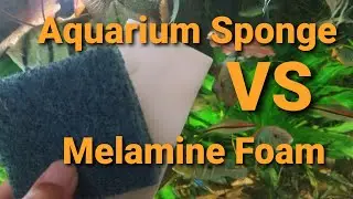 Губка AquArium против меламиновой пены