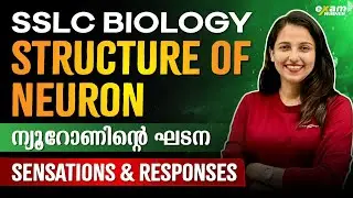 SSLC Biology | Chapter 1 | Sensations and Responses Part 2 | Structure of Neuron(ന്യൂറോണിന്റെ ഘടന )
